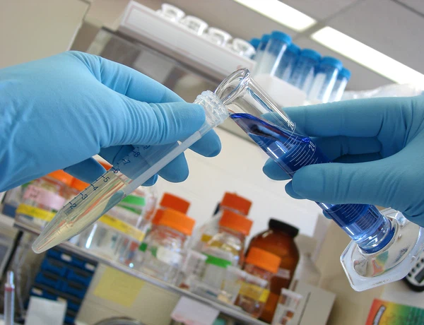 7999366249eef8357755b 7999366249eef8357755b