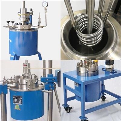 High Pressure Chemical Reactor