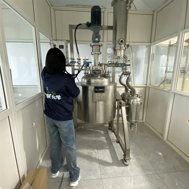 Stainless Steel Reactor