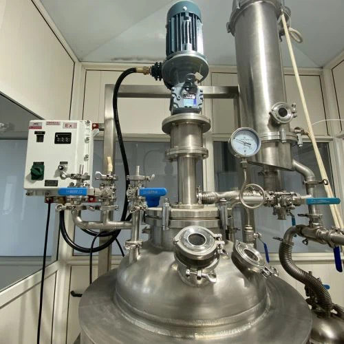 Stainless Steel Reactor